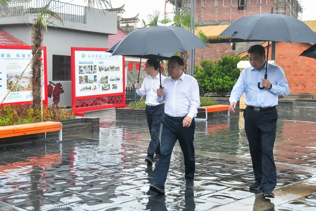 涂晓晖调研文旅产业发展工作